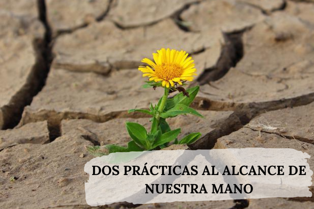 Dos prácticas al alcance de nuestra mano